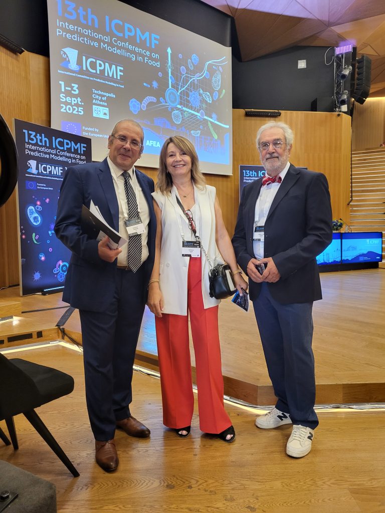 13th ICPMF International Conference 2025