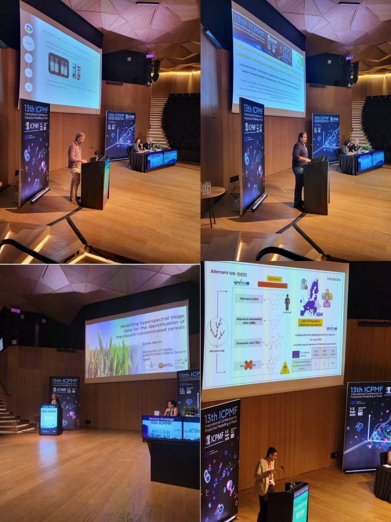 13th ICPMF International Conference 2025