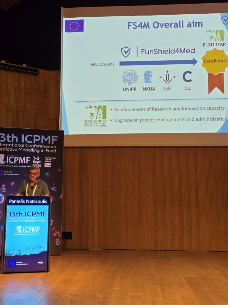 13th ICPMF International Conference 2025